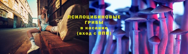 PSILOCYBIN Алексин
