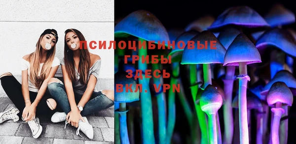 спайс Алзамай