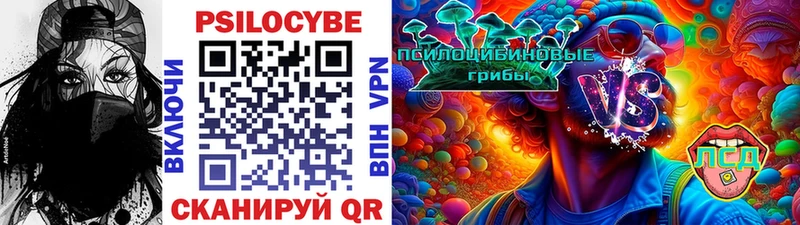 Псилоцибиновые грибы Psilocybine cubensis  закладка  Пущино 